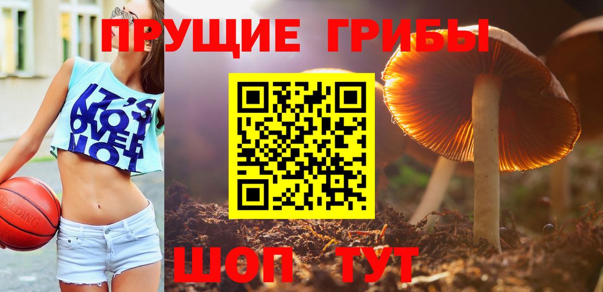 Галлюциногенные грибы Cubensis Чебаркуль